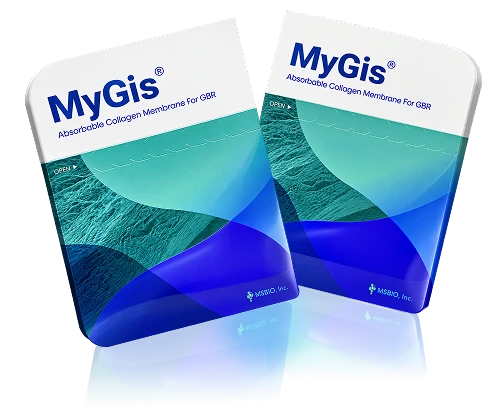 MyGis